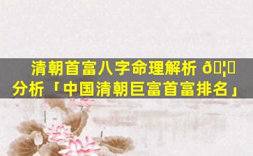 清朝首富八字命理解析 🦉 分析「中国清朝巨富首富排名」